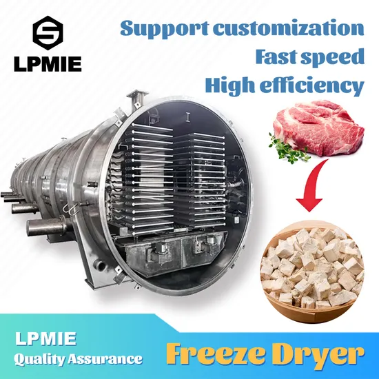 Automatic Food Lyophilizer Instant Coffee Vacuum Freeze Drying Machine Price