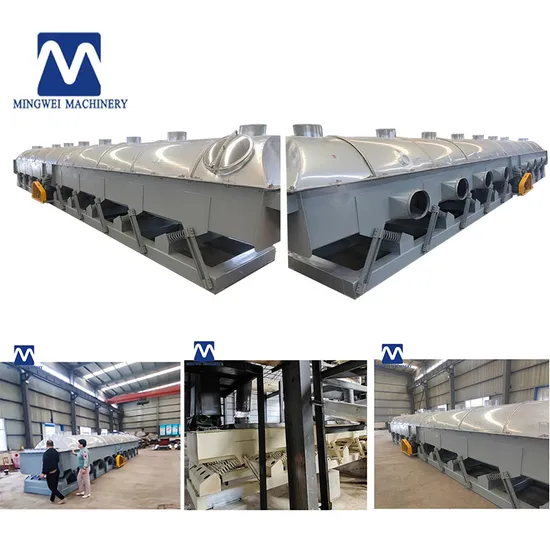 Mingwei High Quality Price Powder Granule Salt Vibrating Fluid Bed Drying Machine