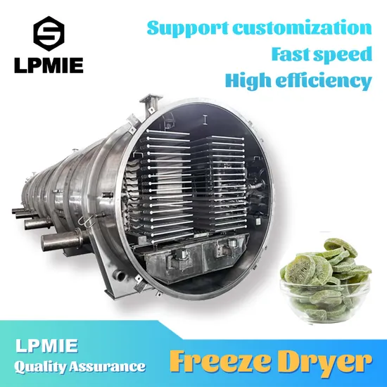 Freeze-Dryer-Machine-Lyophilizer Freeze Dryer Laboratory Freeze Drying Machines
