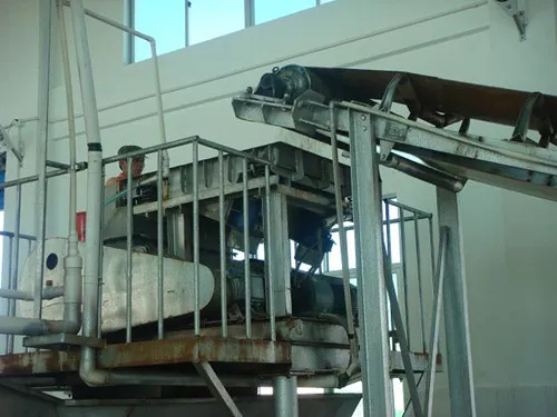 High Grade Edible Salt Making Machinery