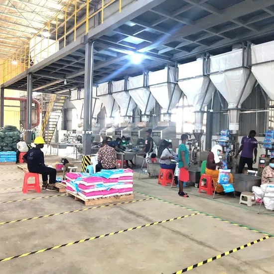 Customizable Detergent Powder Manufacturing Equipment Detergent Powder Production Line