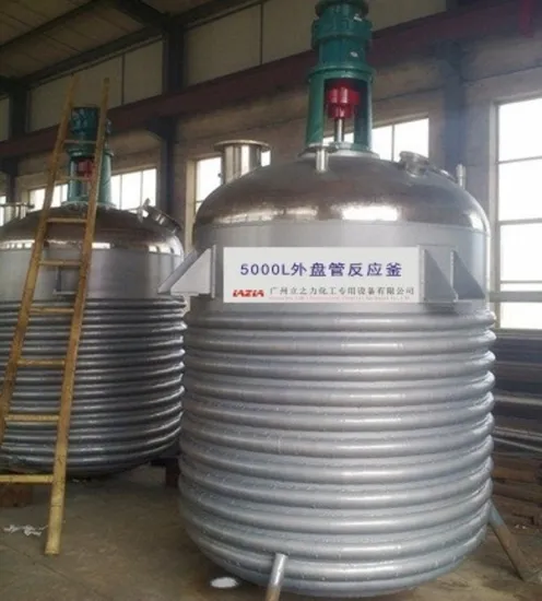 China New SGS Approved External Coil Tube Reactor (R-004)