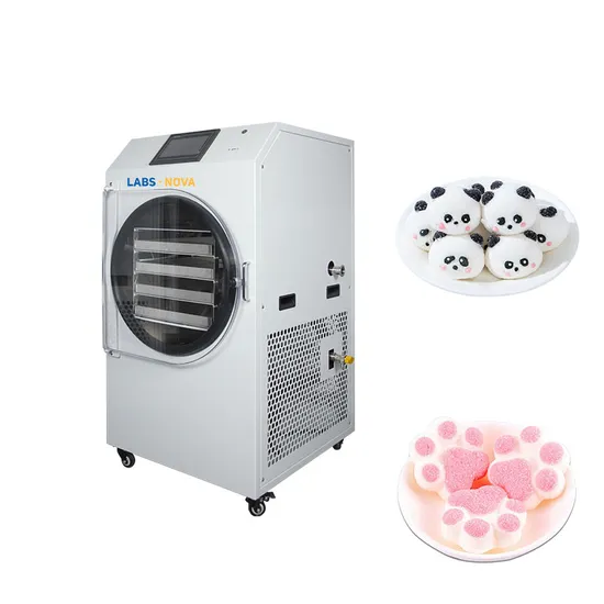 Mini Small Large Food Vegetable Fruit Home Homemade Household Vacuum Lyophilization Freeze Drying Dryer Machine Equipment