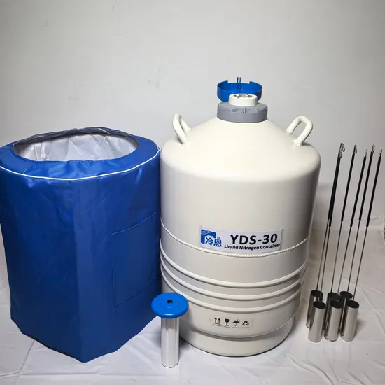 Precision-Engineered 30L Liquid Nitrogen Vessel for Sensitive Samples