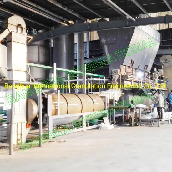China Professional Cacl2 Manufacturing Line for Cacl2 Flake Factory Plant