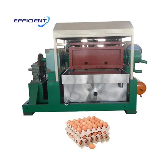 Automatic Egg Carton Machine Making Egg Tray Production Line