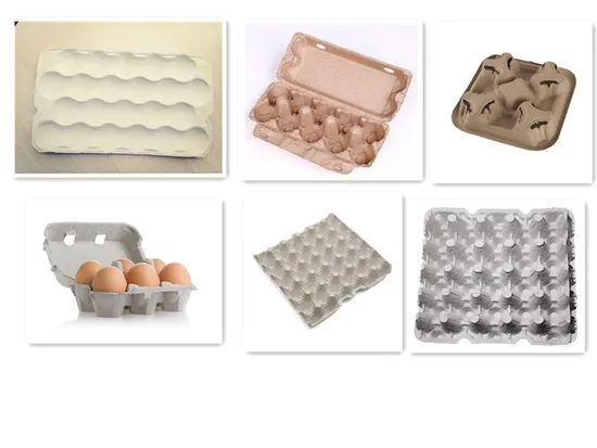 Paper Pulp Egg Tray Production Machine