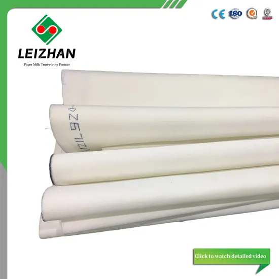 Double Layer Forming Fabric Dryer Fabric Press Felt Paper Machine Cloth