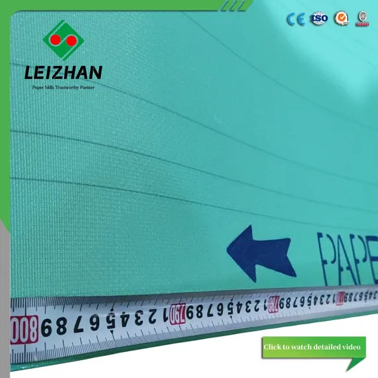 Paper Machine Polyester Single Layer Forming Fabric