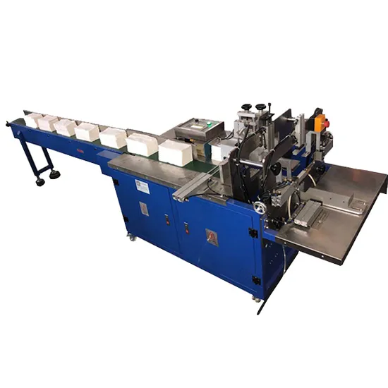 Bag Packing Machine with Conveyor