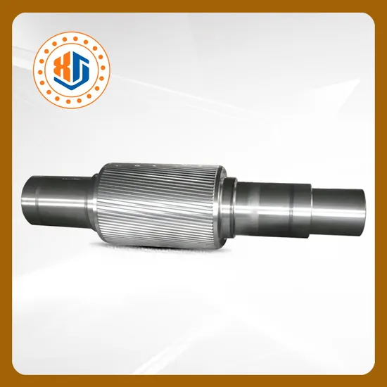 Spheroidal Graphitic Cast Iron Roller for Rebar and Section Steel with Good Hardness