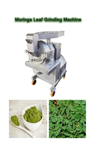 Multifunctional Brightsail Dry Moringa Leaf Pulverizing Machine Dry Moringa Leaf Pulverizing Machine with Factory Price