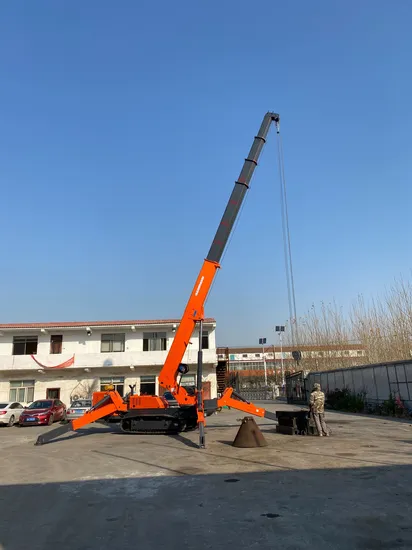 3 Ton 10m 8ton 20m Crawler Mini Spider Crane for Construction Use