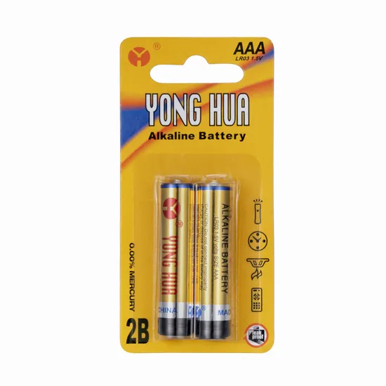 1.5V AAA Size No. 7 Lr03 Alkaline Battery with CE MSDS