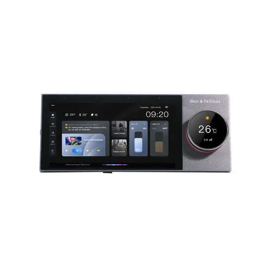6 Inch Touch Screen Bluetooth Smart Multi Room Audio Wall Amplifier with Tuya Zig-Bee