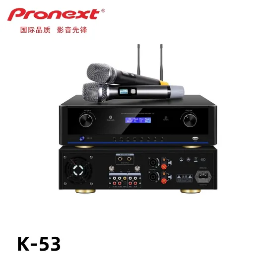 3-in-1 Power Amplifier PA System Sound Professional Amplifier