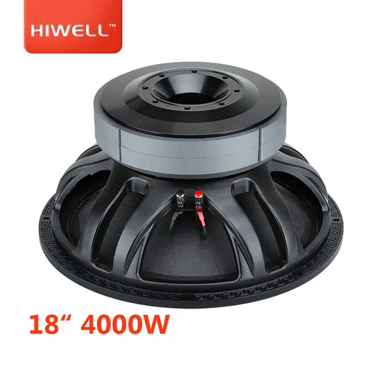Feel The Big Punch Heavy Bass 18 Inch PA Speaker