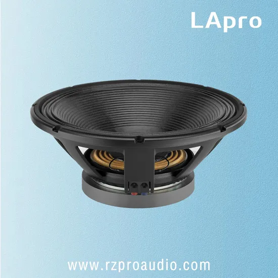 18inch Lf18X451 Custom Order Professional Audio Sound Big Event Acoustic Speaker