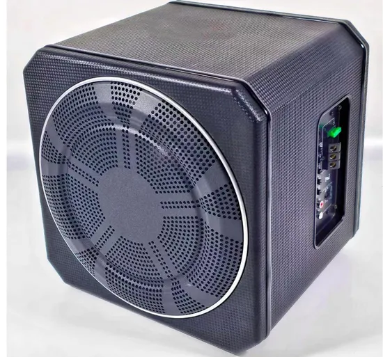 10" Digital Active Car Subwoofer with Bass Re-Flex Subwoofer