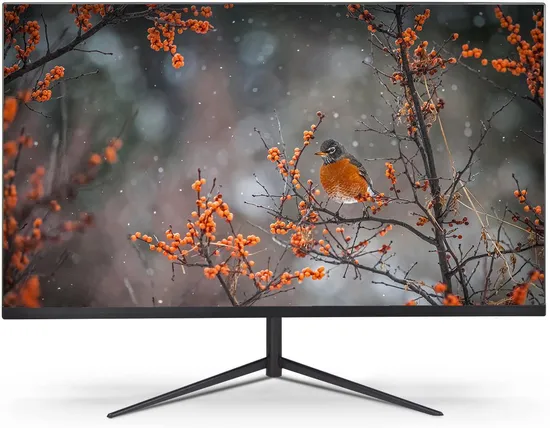 Pcv 23.8" Frameless Monitor, 1920X1080 Full HD TFT, Colorful Screen, 75Hz, LED Monitor
