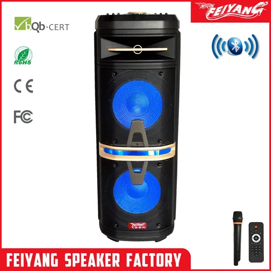 Feiyang Speaker New! Private Mould DJ Outdoors Bluetooth Rechargeable Audio Speaker Top Amplfier --Double 10