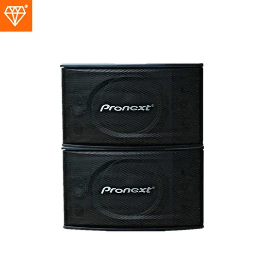 CS-450 Red/Grey KTV Box 10 Inches Audio Passive Speaker