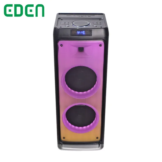 Altavoces Dual 8inches Multifuntion PA Bluetooth Portable Rechargeable DJ Karaoke Tws Manufacturer Speaker with LED Light Speaker ED-827