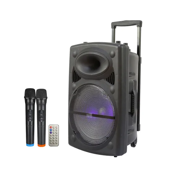 15 Inch Plastic Box Speaker with 2 Wireless Microphone DC 12V Battery