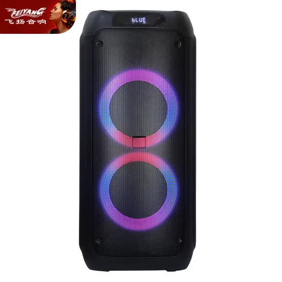 Feiyang New Arrival Party Outdoor Bluetooth Speaker Tws Fg208-09