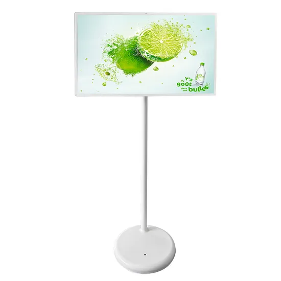 Wireless WiFi LCD Touch Screen Live Streaming Portable Smart Floor Standing TV