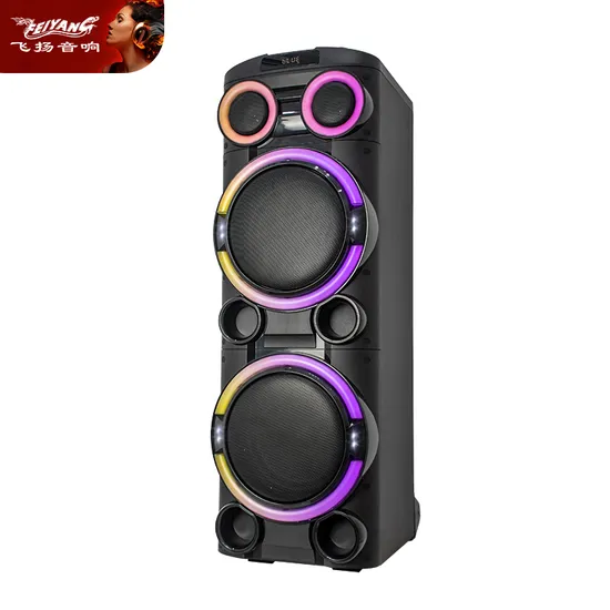 New Karaoke Dual 10 Inch Rechargeable Trolley Bluetooth Speaker