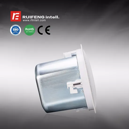 Conference Room Classroom Ceiling Mount Speaker