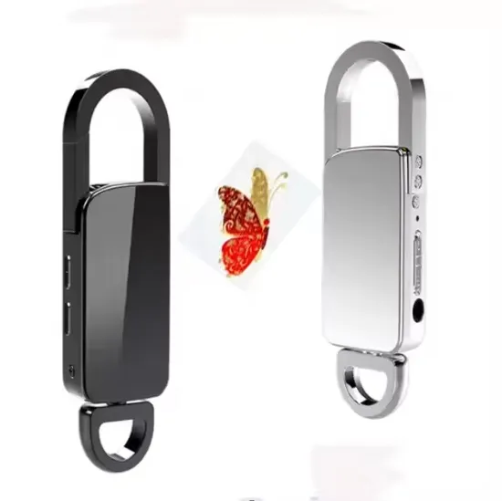 DSP Noise Reduction Voice Activated File Encryption Keychain Voice Recorder