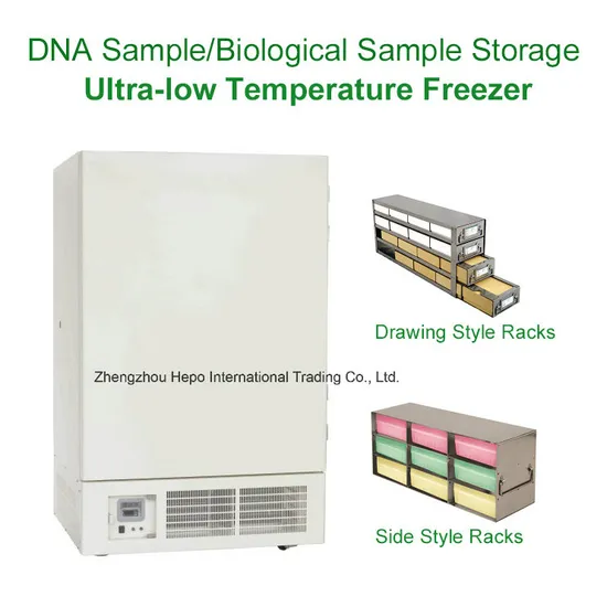 Chinese Large Capacity Energy Saving Upright Deep Cooling Freezer