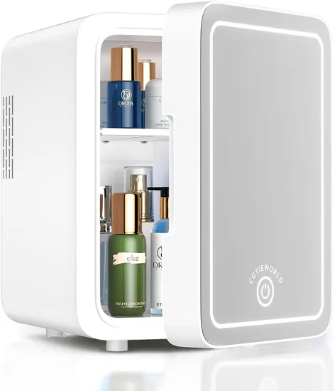 Ds-1006 Fridge with Dimmable LED Light Mirror, 4L Makeup Mini Fridge for Bedroom, Car, Office & Dorm, Cooler & Warmer, Portable Small Refrigerator Factory Price
