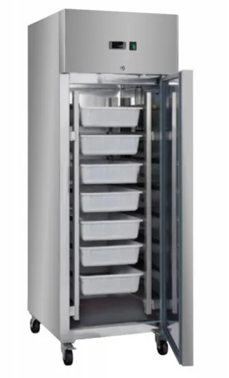 Euro Style Upright Vertical Stainless Steel One Door Commercial Refrigerator Fridge Chiller Freezer Hotel Restaurant School Kitchen Fresh Fish Meat No CFC