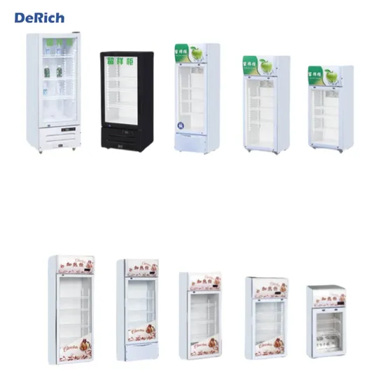 Derich Small Refrigerator Small Freezer Small Heating Chiller Showcase