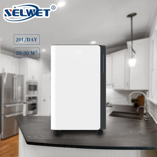 Automatic Humidistat Control 20L Per Day Home Use Small Air Dehumidifier