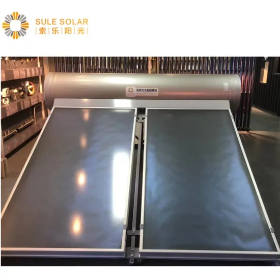 Portable Installation Solar Collector Flat Plate Solar Water Heater with High Pressure Galvanized Steel Water Tank and SS316L Coil Heat Exchange