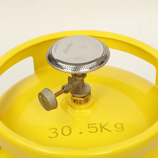 LPG Gas Burner Cylinder Use Outdoor Portable Mini Camping Cooking BBQ Cookware
