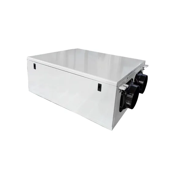 China Supplier Commercial Air-Cooled Duct Industrial Fresh Air Dehumidifier Ceiling Type