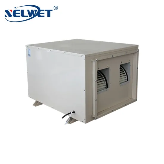 Ceiling Duct Type Mini Space Saving Efficient Industrial Commercial Poor Dehumidifier