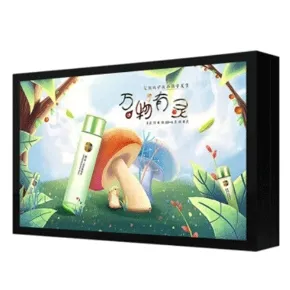 Outdoor Digital Signage Display