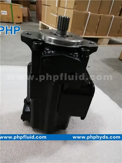 Replacement Denison Vane Pumps T6c T6d T6e T6cc T6DC T6ec T6ED T6ee T6dcc T6gcc