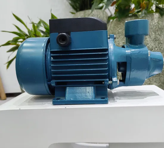 High Pressure Steel Farm Pumps Cast Iron Electric Motor Peripheral Qb60 Irrigation Water Pump