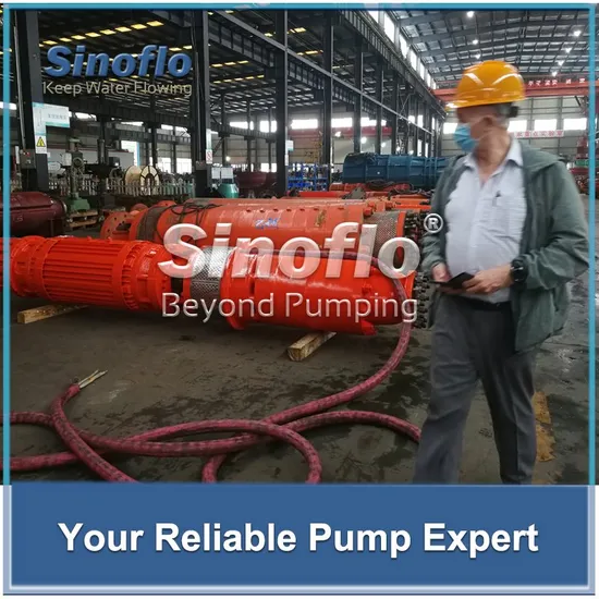 Heavy Duty Mine Drainage Submersible Pump