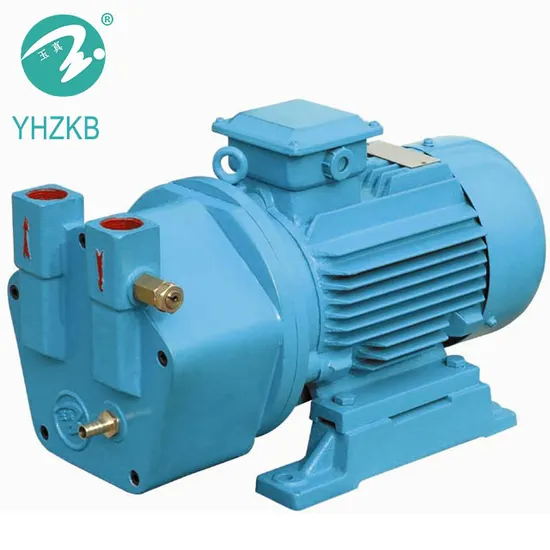 Sk-2 Liquid/Water Ring Vacuum Pump for Sterilization