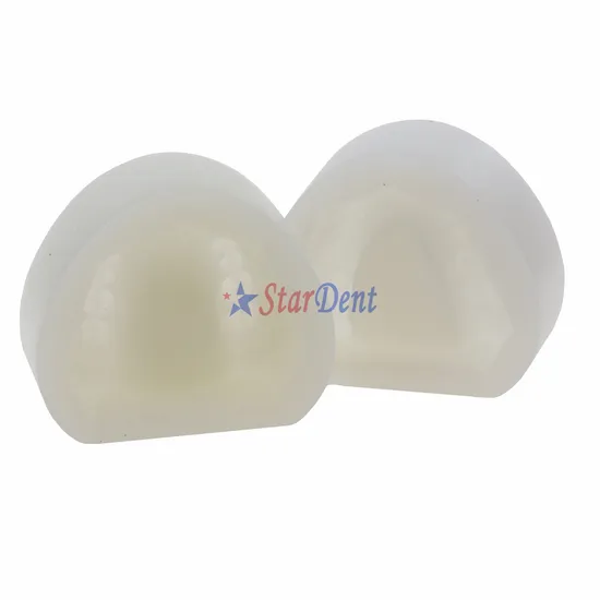 High Quality Super Soft Silicon Rubber Dental Teaching Edentulous Mould Model Full Mouth Standard with Teeth or Without Teeth or Half Teeth