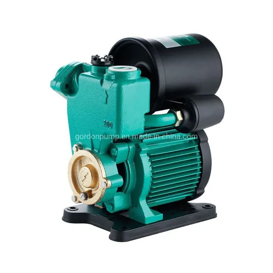 Pw300 Automatic Self Priming Pressure Pump with 2L Tank