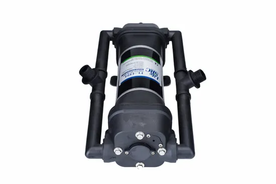 Lifesrc Two Head DC Diaphragm Pump